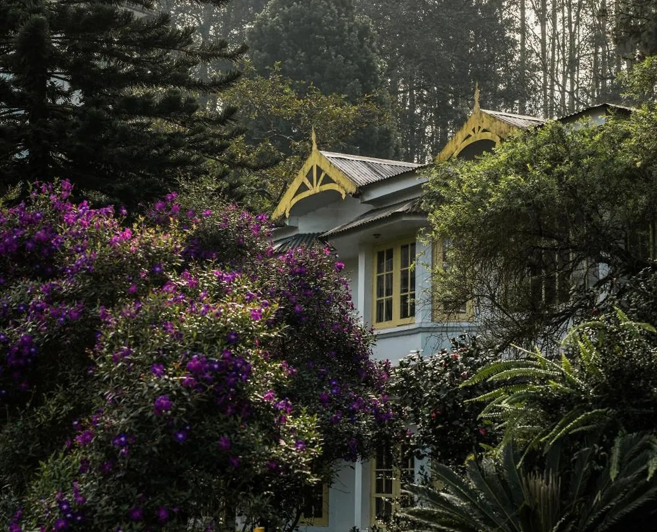 Resort Eastend Munnar