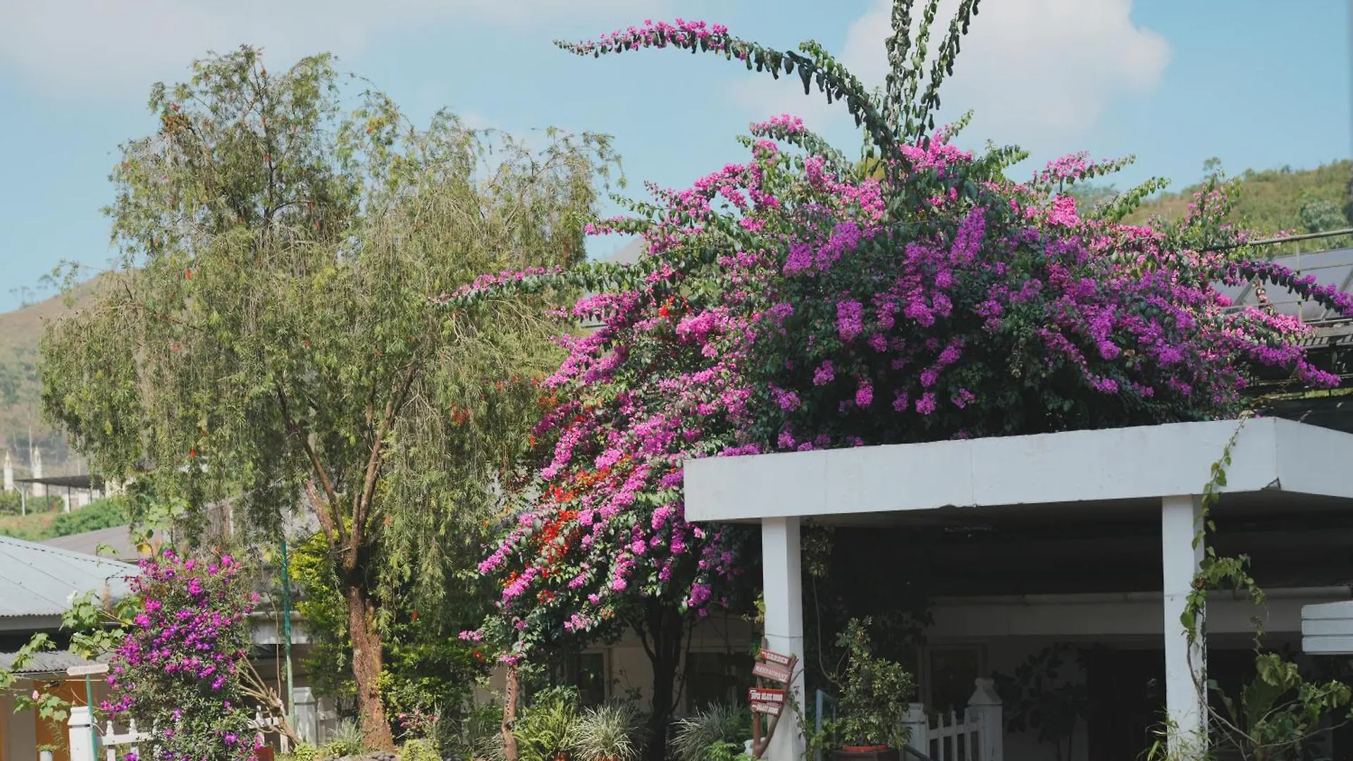 Resort Eastend Munnar
