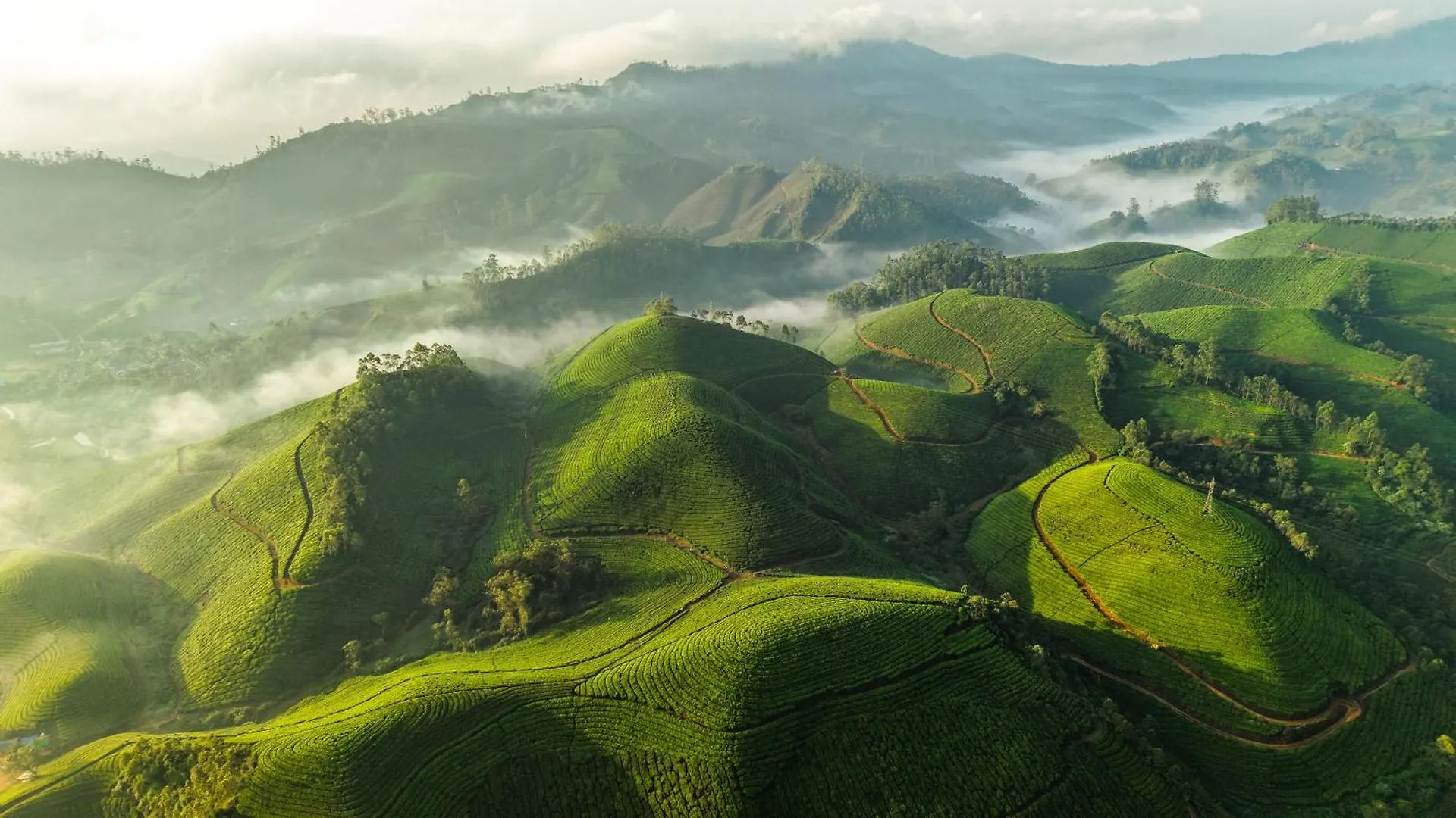 Eastend Munnar 3*,